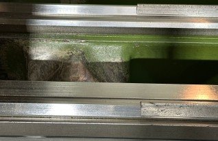 ac4724f3-385d-4914-8379-e6328fbdafa6.jpg