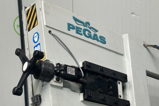 Pegas - 300 x 320 SHI - LR