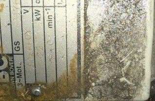 IMG_1942.JPEG