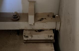 IMG_5041.JPEG