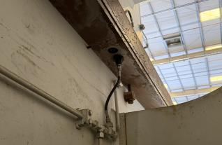 IMG_5051.JPEG