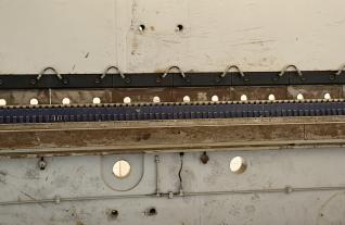 IMG_5061.JPEG