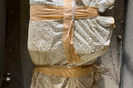 BERTHIEZ - JO-9375