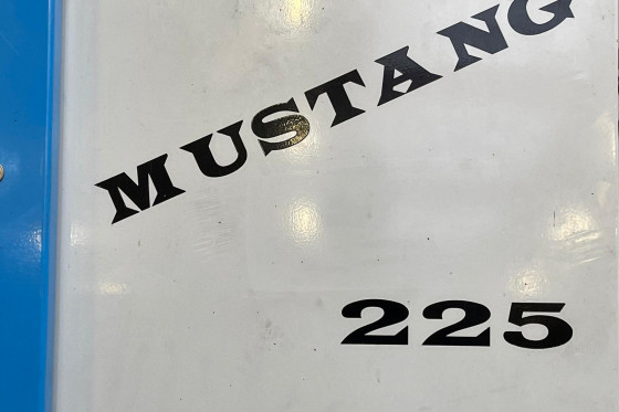PINACHO - MUSTANG 225